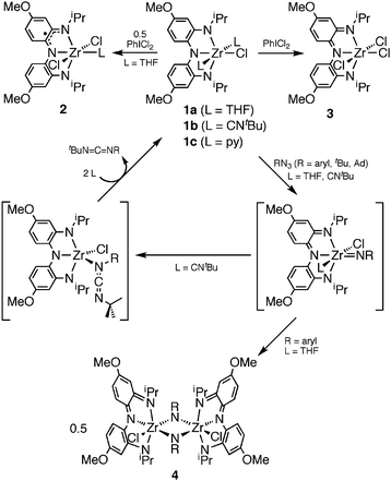 Reactivity of [NNNcat]ZrClL2 (1a–c, L = THF, CNtBu, py).