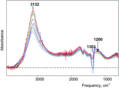 
            IR spectra of H(H2O)n+ clusters normalized to unit concentration for HNO3 water solutions with concentrations varied from 0.25 (red) to 4.0 M (blue). The inaccurate subtraction of ν3NO3 band (over subtraction at 1363 cm−1) arises because of different concentration dependence of the spectrum of NO3− anion for studied HNO3 solutions and used for subtraction NaNO3 solutions.