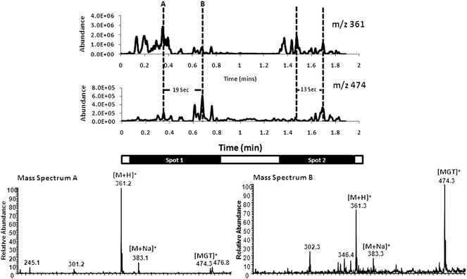 Reactive DESI experiment in which a spray of Girard T reagent, 50 ppm in MeOH–water (80 : 20) with 0.5% formic acid, was scanned manually across two separated corticosteroid spots (diameter ca. 2 mm, consisting of 0.2 μg) on a PTFE surface on the seconds time scale indicated by the time bars. Ion chronograms extracted from the mass spectra recorded are shown for the reagent, m/z 361 and the product, m/z 474. Typical mass spectra are shown at 0.3 and ca. 0.6 min.