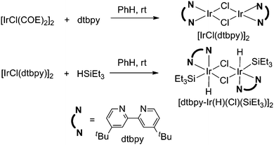 Preparation of a silyl iridium complex