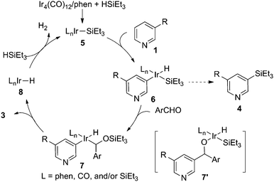 Proposed mechanism.