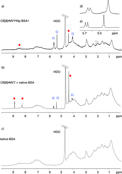 
            1H NMR spectra of CB[8]·MV7·Np-BSA1 (a), CB[8]·MV7 and native BSA (b) and native BSA (c) at 0.05 mM concentration in D2O. The inset shows two of the three different CB[8] protons in the CB[8]·MV7 complex in the presence (d) and absence (e) of Np-BSA1. The protons of MV7 (red circle) and the CB[8] protons (blue square) are highlighted.