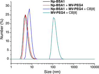 
            MV-PEG4·CB[8] aggregates into particles with average diameters (Davg) = 105 nm in aqueous solution (0.05 mM at 25 °C) as measured by dynamic light scattering. Upon addition of Np-BSA1, the ternary complex forms and the measured Davg significantly decreases to 8 nm, which is roughly the same as for Np-BSA1 alone or the binary solution mixture of Np-BSA1 and MV-PEG4.