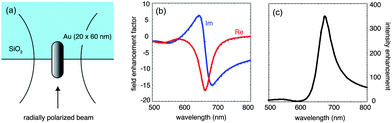 Electromagnetic calculations for a gold nanorod excited by a radially polarized beam and supported by a dielectric substrate. (a) Geometry used in the computations. (b) Real and imaginary parts of the field enhancement factor evaluated at the surface of the nanorod. (c) Corresponding intensity enhancement showing a resonance at λ ∼ 650 nm, red-shifted with respect to a spherical gold nanoparticle.