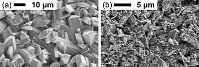 (a) SEM image of a thin film of 1a formed by potentiostatic electrodeposition; (b) SEM image of thin film of 1b formed by pseudo-drop casting.