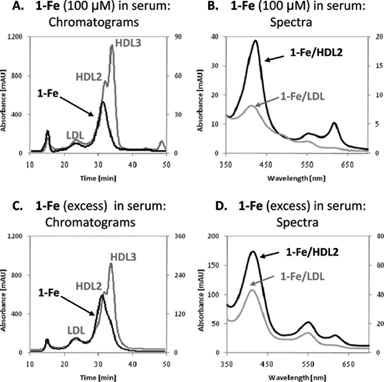 Serum distribution of 1-Fe. (A) The chromatograms at 280 nm (light line, relative to the left y-axis) and at 420 nm (dark line, relative to the right y-axis), obtained by HPLC separation of serum containing 100 μM 1-Fe. (B) The absorbance spectra of 1-Fe/HDL2 (dark line) and 1-Fe/LDL (light line), eluted under the conditions described in A. (C) The chromatograms at 280 nm (light line, relative to the left y-axis) and at 420 nm (dark line, relative to the right y-axis), obtained by HPLC separation of serum overloaded with 1-Fe and dialyzed for removing all loosely-bound or non-bound corrole. (D) The absorbance spectra of 1-Fe/HDL2 (dark line) and 1-Fe/LDL (light line), eluted under the conditions described in C.