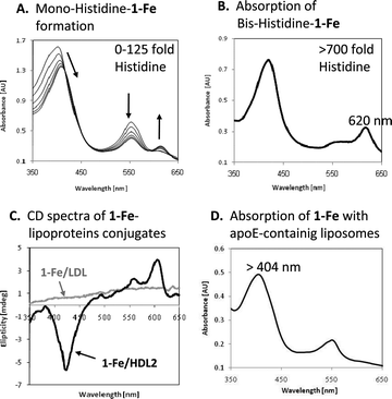 Mode of 1-Fe binding to lipoproteins. (A) Changes in absorbance spectra of 1-Fe upon its titration with histidine methyl ester, at 0, 25, 50 75, 100 and 125 [histidine]/[1-Fe] ratio. (B) Spectrum of 1-Fe with a very high histidine excess. (C) The visible circular dichroism spectra of 50 μM 1-Fe with 2.5 mg protein/mL HDL2 (dark line) or LDL (light line). (D) The absorbance spectrum of 1-Fe with apoE-containing liposomes.