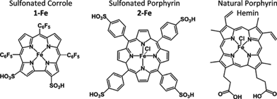 The chemical structures of compounds examined in this study.