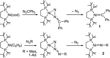 Synthesis of 1 from N2CPh2 and (dtbpe)Ni(cod) with N2 elimination. Related imido complexes (2) can be prepared from organoazides. Mes = 2,4,6-trimethylphenyl, 1-Ad = 1-adamantyl.