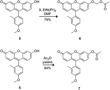 Tokyo Green-based profluorophores.