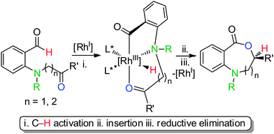 Proposed N-directed ketone hydroacylation towards chiral benzoxazepinones (n = 1) and benzoxazecinones (n = 2).