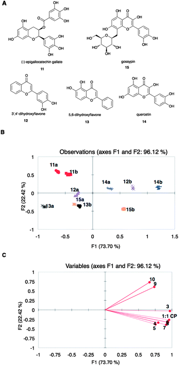 (A) Structures of flavonoids 11 to 15. (B) PCA score plot and (C) loading plot of the spectroscopic data from the displacement of array X by 11 to 15 at 0.06 (a) and 0.12 (b) mM. Points on the loading plot are individual members of array X, represented by peptide number.