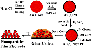 The procedure used to prepare a Au@Pd@Pt NP film on a GC electrode.