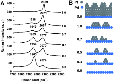 (A) SERS spectra of CO adsorbed on 55 nm Au@Pd@Pt NPs with 2 monolayers of Pd and different θPt in a CO-saturated 0.1 M aqueous solution of HClO4 at 0 V; (B) our proposed model of the surface of Au@Pd@Pt NPs having different θPt.