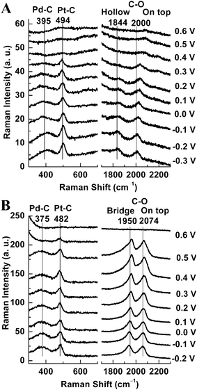 
            SERS spectra recorded on a GC electrode coated with 55 nm Au@Pd@Pt NPs having 2 monolayers of Pd and θPt ≈ 0.5 in different solutions: (A) 0.1 M H2SO4 + 0.1 M HCOOH, and (B) CO-saturated 0.1 M H2SO4. Each potential is indicated in the figure.