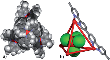 (a) Space filling representation of the crystal structure of [Fe4L6 ⊃ FeCl4]7+ viewed down the C3-axis of the ΔΔΔΔ enantiomer and (b) schematic representation of the encapsulated tetrahedral [FeCl4]− anion.