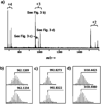 (a) The mass spectrum of [Fe4L6 ⊃ FeIIICl4](PF6)7 illustrating the +2 to +4 ion clusters; (b), (c) and (d) illustrate the observed (top) and calculated (bottom) isotopic distributions consistent with the respective ions:{[Fe4L6 ⊃ FeIICl4](PF6)3}3+, {[Fe4L6](PF6)5}3+ and {[Fe4L6 ⊃ FeIIICl4](PF6)4}3+.