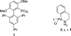 BrettPhos ligand and precatalyst used in the palladium-catalyzed amination reactions.