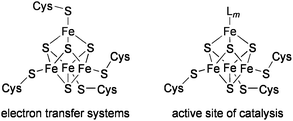 Biological Fe4 S4clusters.