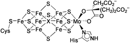 Structure of FeMo-co.