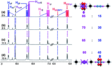 Partial 1H NMR of R·2PF6 in CD3CN at 298 K recorded at time (a) 0 h, (b) 6 h, (c) 11 h, and (d) 72 h. Annotations are shown in color. Blue line indicates the co-conformation in which the BIPY2+ is encircled by BDNP38C10. Purple line indicates the co-conformation in which the NpI is encircled by BDNP38C10.