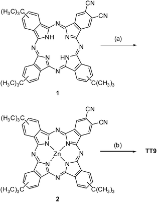 Synthesis of phathalocyanine TT9. (a) ZnCl2, DBU, Pentanol, 60 °C; 63%. (b) i) KOH 0.5 M, MeOH–H2O (5 : 2) reflux. ii) AcOH–H2O (3 : 2) 75 °C. iii) KOH 0.5 M, MeOH–H2O (5 : 2) reflux; 54%.