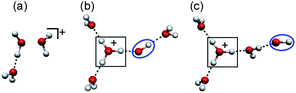 Three different structural motifs of (H2O)n+ (n ≥ 3). These structures were constructed from the previous suggestions.30–32 (See text for details.) The protonated site is indicated by a border. The OH radical moiety is circled.