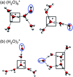 The most plausible structures of (H2O)6,7+, constructed on the basis of experimental findings. The protonated site is surrounded by a border. The OH radical moiety is circled.