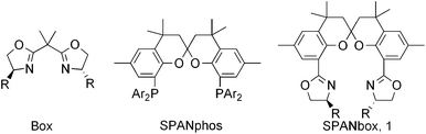 Working hypothesis for ligand design: from Box to SPANbox 1.