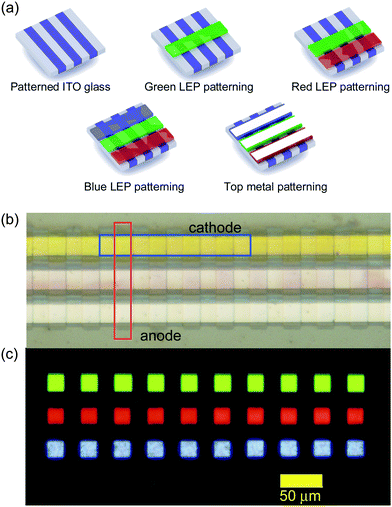 (a) The patterning sequence used for the fabrication of the display. (b) The resulting optical micrograph. (c) Electroluminescence image.