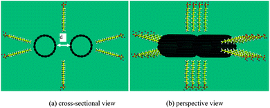 Initial configurations of two (10, 10) CNTs with a gap of d and 24 SDS molecules.