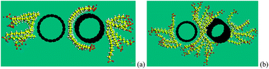 Separation of two (10, 10) CNTs with (a) 24 SDS molecules, (b) 34 SDS molecules.