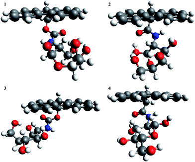 Optimised structures of the lowest energy conformers for the α-pyranose anomer of 1 and the β-pyranose anomers of 2–4.