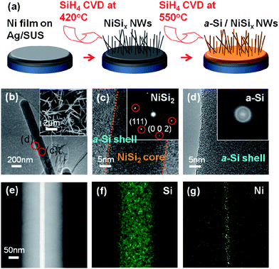 (In color) (a) The schematics of the NW heterostructure growth in this study. (b) TEM image of an individual a-Si/NiSix NW. The inset shows a plan-view SEM image of a-Si /NiSix NWs grown on SUS substrate. (c) HRTEM image of an individual a-Si/NiSix NW at the core region and the corresponding FFT-DP along the [1–10] zone axis (inset). (d) HRTEM image of an individual a-Si/NiSix NW at the shell region and the corresponding FFT-DP (inset). (e) HAADF image of a-Si/NiSix NW. (f and g) EDX elemental mapping images of Si (f) and Ni (g) in (e).