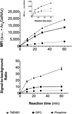 
          Flow cytometry data. Lewis lung carcinoma (LLC) cells were cultured with and without 50 μM Ac4GalNAz for 24 h, then incubated with a 30 μM solution of TMDIBO-AF647, DIFO3-AF647 or PHOS-AF647. Aliquots taken at various time-points were analysed by flow cytometry. Top: median fluorescence intensity (MFI) of viable cells that had been treated with Ac4GalNAz. Inset: MFI of viable cells that had not been treated with Ac4GalNAz. Bottom: Ratio of MFIs of treated vs. untreated cells. Data points were collected in triplicate and are shown as mean ± SD (error bars lie within the symbols when not visible).