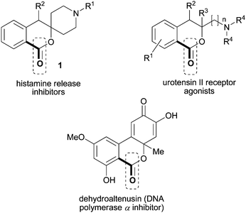 Biologically active 1-isochromanones: lead compounds and natural products.