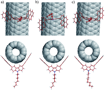 Computer-generated complex structures of 1 (a), meso-3 (b), and dl-3 (c) with (7,6)-SWNTs. Views of these complexes along the SWNT axis are shown below the models (a)–(c).