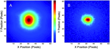 Raw and demodulated images of Alexa 594 solution with modulation of both primary and secondary lasers. Primary laser is pulsed and defocused, with wavelength of 535 nm and power of ∼700 W cm−2μW, modulated at 5 Hz. The depletion laser is a tightly focused 745 nm laser with ∼ 200 kW cm−2 power, modulated at 6 Hz. The range of the images: 8 μm × 8 μm. (A) One of the raw frames of Alexa 594 solution in dual modulation. (B) Demodulated image at 11 Hz.