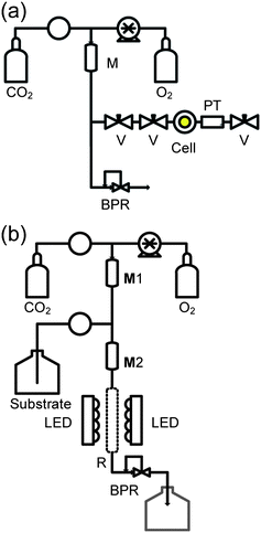 Schematic arrangement of equipment to minimise the risk of explosion by dilution of O2 with CO2 prior to contact with organic substrates. (a) Rig for adding CO2 + O2 to the batch reactor, prefilled with substrate and photosensitiser. (b) Flow equipment for continuous reactions. The components are labelled as follows: V - SSI 1/16 inch valve; BPR - Jasco BP-1580-81 back pressure regulator; M, mixing chamber (5 cm 1/4 inch SS316 tubes at 50 °C); CO2 - delivered from a chilled Jasco™ PU-1580-CO2 pump; O2 - added at a measured rate via a Rheodyne dosage unit; PT - pressure transducer (RDP Electronics); R - photocatalyst packed sapphire tube reactor; Substrate is pumped using a Jasco™ PU-980 HPLC pump. All pipework is constructed from 1/16 inch 316 SS tubing (Swagelok).