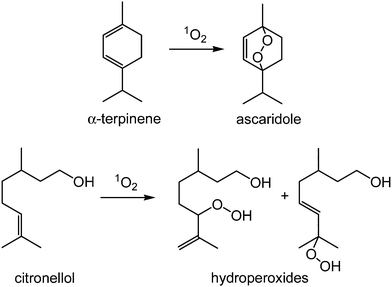 Photo-oxidation of α-terpinene to ascaridole (top) and citronellol to hydroperoxide products (bottom)