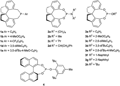 Chiral monophosphorous ligands.