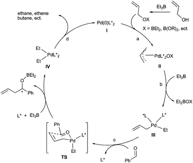 A plausiable π-allylpalladium umpolung mechanism.