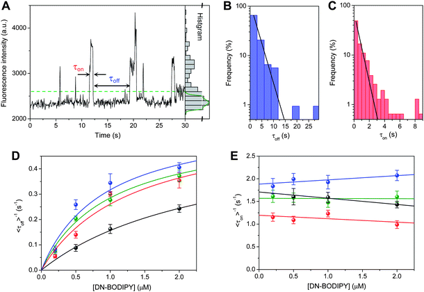 (A) A typical fluorescence intensity trajectory observed for a single 8 nm Au/TiO2 particle in an Ar-saturated DN-BODIPY solution (2.0 μM, in methanol) under 488 nm laser and UV light irradiation. The corresponding fluorescence intensity histogram is shown in the right panel. The green solid and dashed lines indicate the Gaussian-fitted background and the threshold level separating the on and off states, respectively, which corresponds to 3σ, where σ is the standard deviation. (B) Off and (C) on time distributions constructed from over 150 events for 20 different single 8 nm Au/TiO2 particles ([DN-BODIPY] = 2.0 μM, IUV = 0.5 W cm−2). (D, E) DN-BODIPY concentration dependence of <τoff> (D) and <τon> (E) obtained for TiO2 (black), 5 nm Au/TiO2 (blue), 8 nm Au/TiO2 (green), and 14 nm Au/TiO2 (red). The solid lines in panel D were obtained from eqn (1), and the fitting parameters are summarized in Table 1. The solid lines in panel E are guides for the eye.