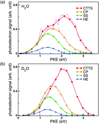 Photoelectron kinetic energy distributions from the CTTS state (red circles), the first intermediate (orange squares; CP), the second intermediate (green diamonds; SS), and hydrated electrons (blue triangles) in (a) NaI/H2O probed at 260 nm and (b) NaI/D2O probed at 274 nm. These data were obtained by global fitting the time-dependent photoelectron kinetic energy distributions. Symbols connected by thick lines represent the results obtained using 0.25 eV energy bins (ΔE) between 0 and 3.5 eV. Thin lines are the corresponding results obtained using 0.1 eV bins between 0.8 and 3.2 eV. There is excellent agreement between the two analyses. The distributions were normalized so that the integrated areas ΣkcxkΔE are proportional to the branching ratios, 1, ra, rarb, and rarbrc for the CTTS state, the first and second intermediates, and the hydrated electron, respectively.