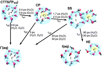 Graphical representation of the CTTS dynamics from I− (aq) to water after excitation at 226 nm.