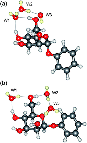 Molecular structure of the tri-hydrates: (a), α-PhMan·(D2O)3 and (b), β-PhMan·(D2O)3.