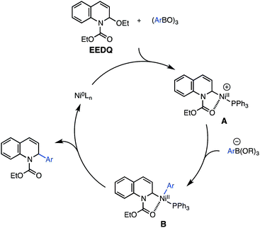 Proposed mechanism.