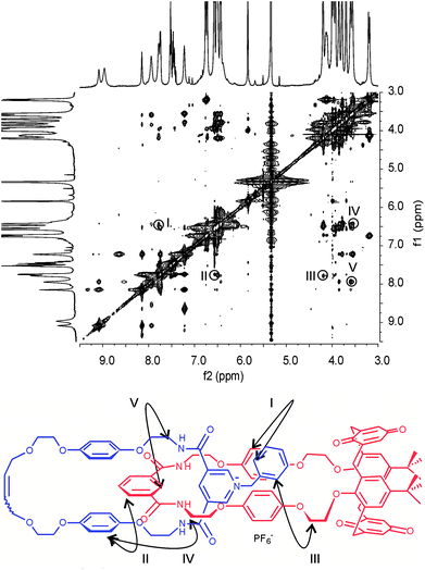 Partial 1H-1H ROESY NMR (500 MHz, CD2Cl2:CD3CN (4 : 1), 293 K) of catenane 5PF6. Cross couplings are shown in the schematic diagram below. See ESI for the corresponding spectrum of 4PF6.