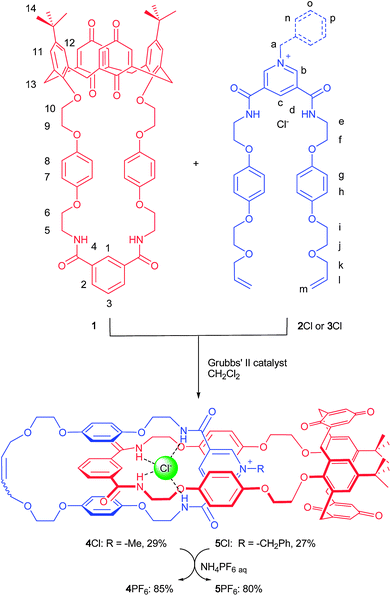 Synthesis of catenanes 4Cl and 5Cl. Catenanes 4PF6 and 5PF6 were prepared from corresponding chloride salts by anion exchange with NH4PF6.