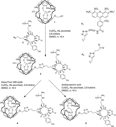 Synthesis of c[RGDyK]-labeled cryptophane biosensors.